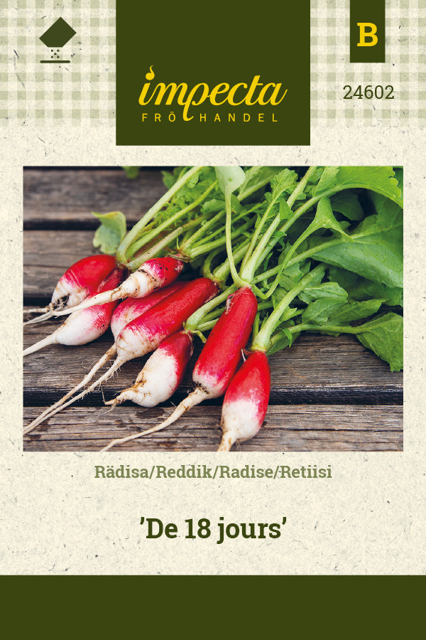 Frø: Radise 'De 18 jours'