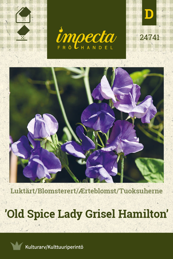Frø: Ærteblomst 'Old Spice Lady Grisel Hamilton'