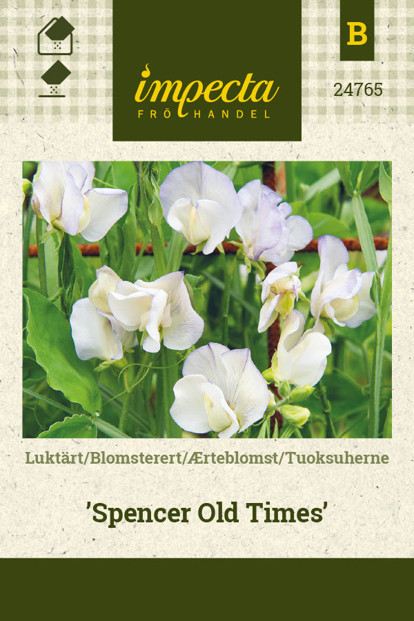 Frø: Ærteblomst 'Spencer Old Times'