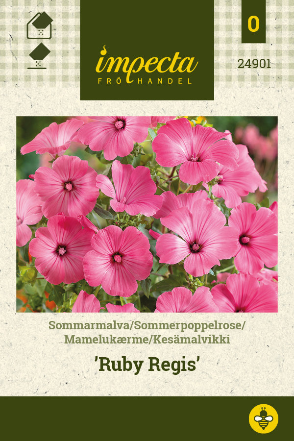 Frø: Mamelukærme 'Ruby Regis'