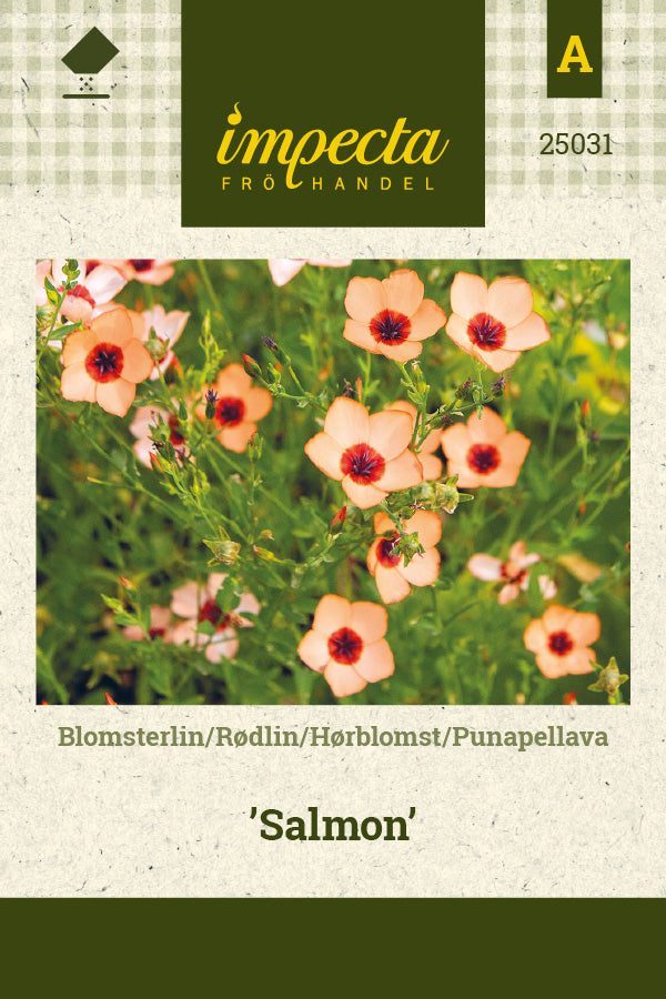 Frø: Hørblomst 'Salmon'