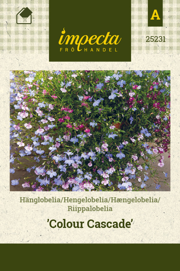 Frø: Hængelobelia 'Colour Cascade'