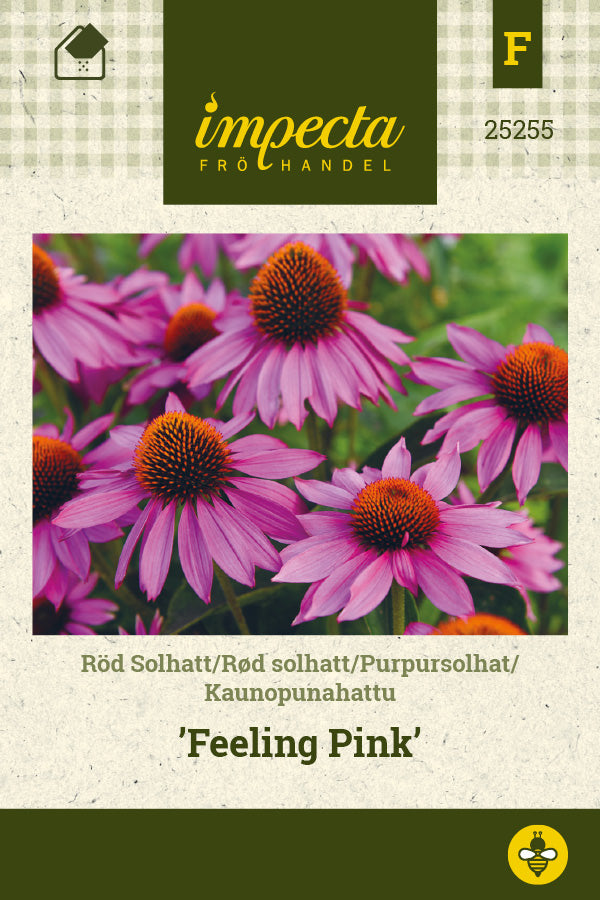 Frø: Purpursolhat 'Feeling Pink'