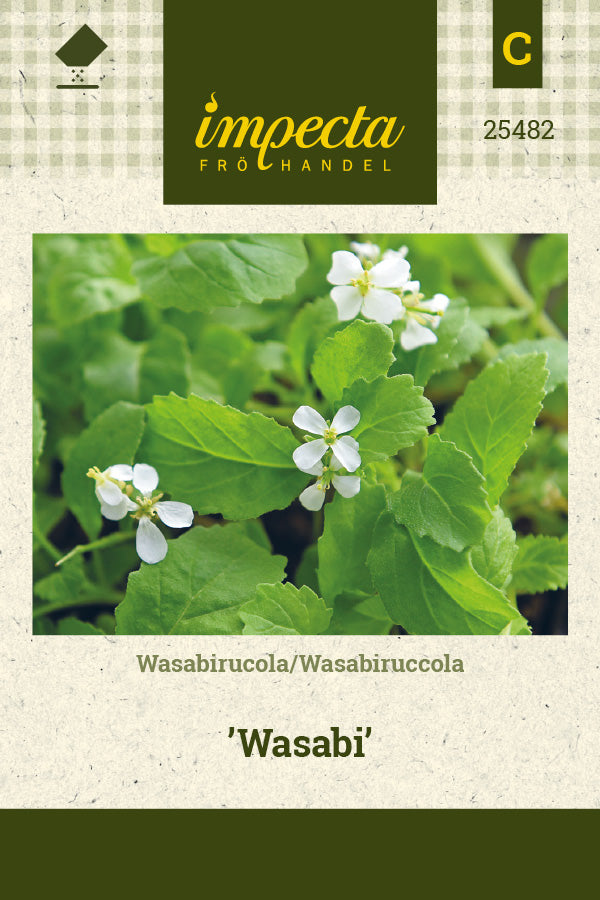 Frø: Wasabirucola 'Wasabi'