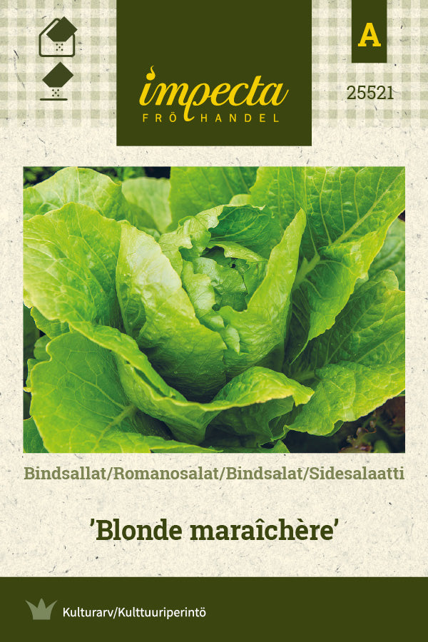 Frø: Romainesalat 'Blonde maraîchère'