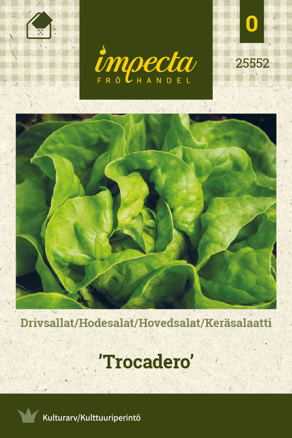 Frø: Hovedsalat 'Trocadero'