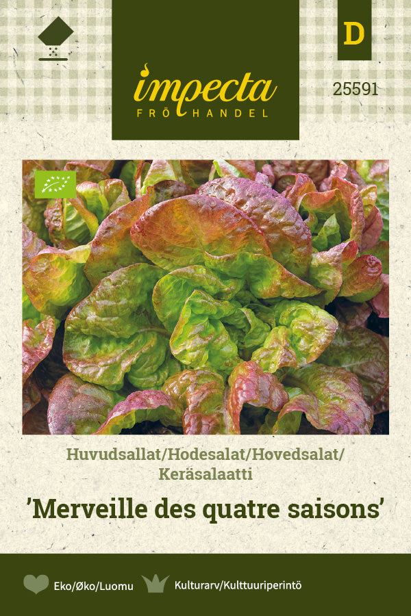 Frø: Hovedsalat 'Merveille Des Quatre Saisons'