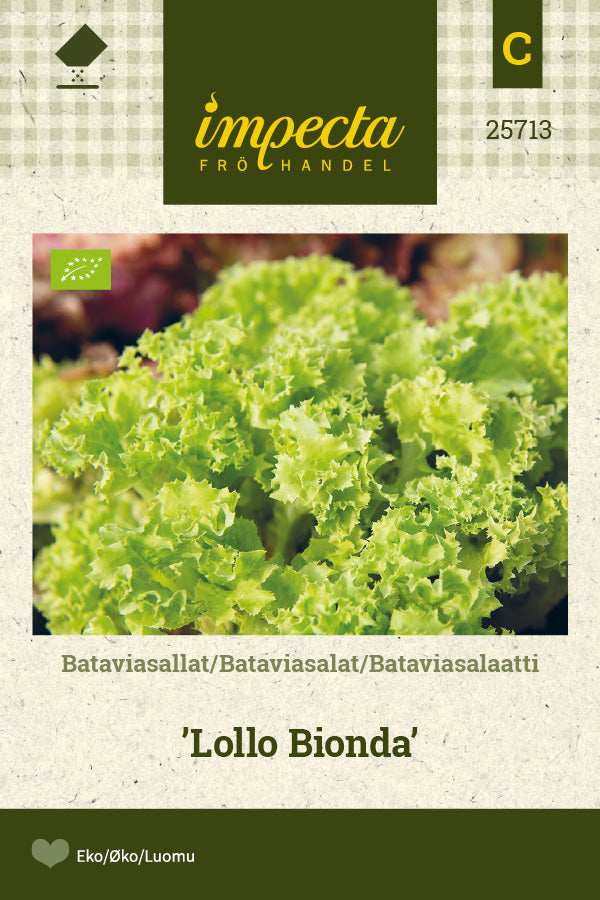 Frø: Bataviasalat 'Lollo Bionda'