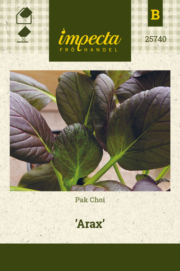 Frø: Pak Choi 'Arax'