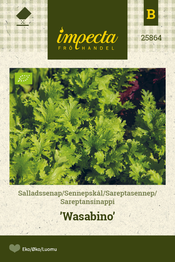 Frø: Bladsennep 'Wasabino'