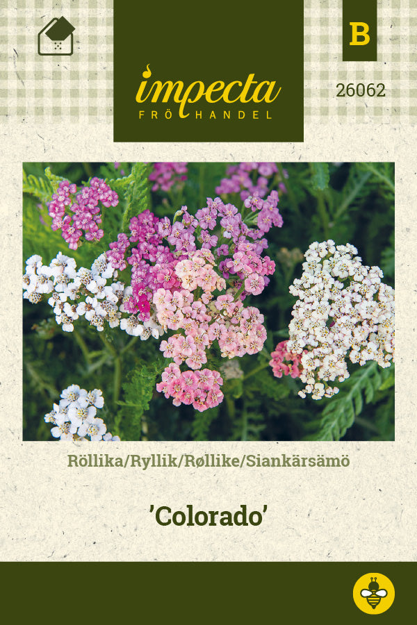 Frø: Røllike 'Colorado'