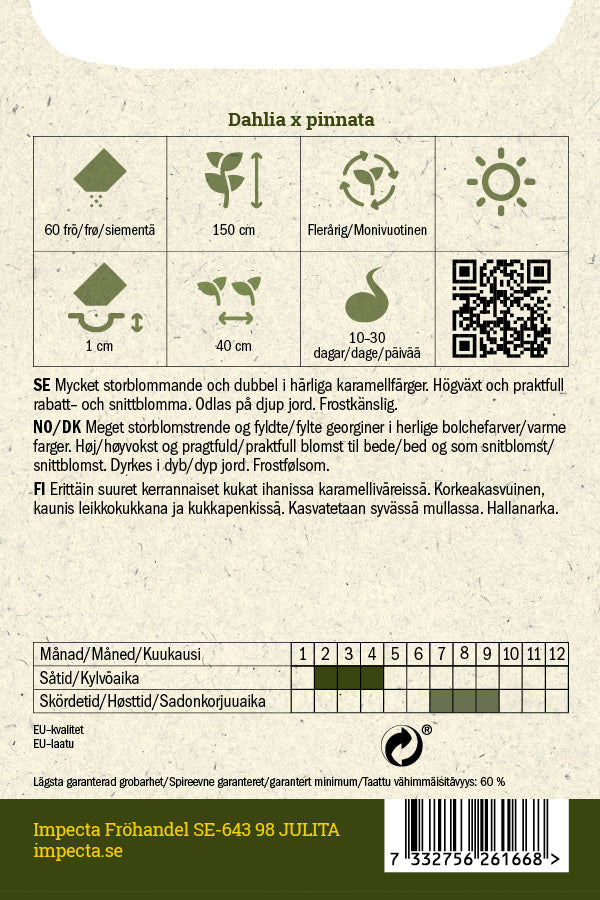 Frø: Dekorativ Dahlia 'Giants'