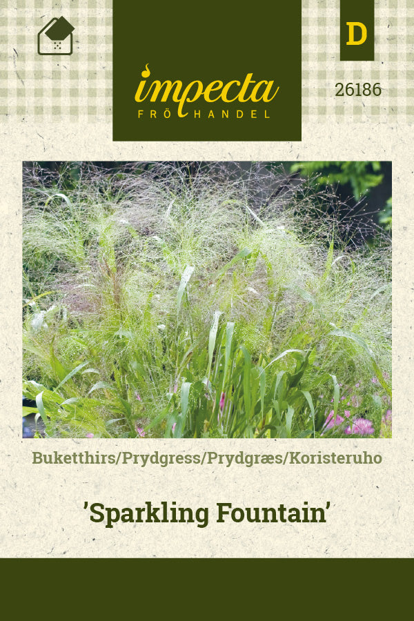 Frø: Prydgræs 'Sparkling Fountain'