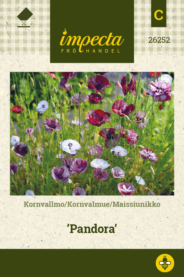 Frø: Kornvalmue 'Pandora'