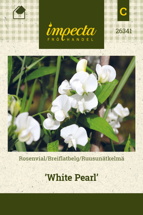 Frø: Rosenvial 'White Pearl'