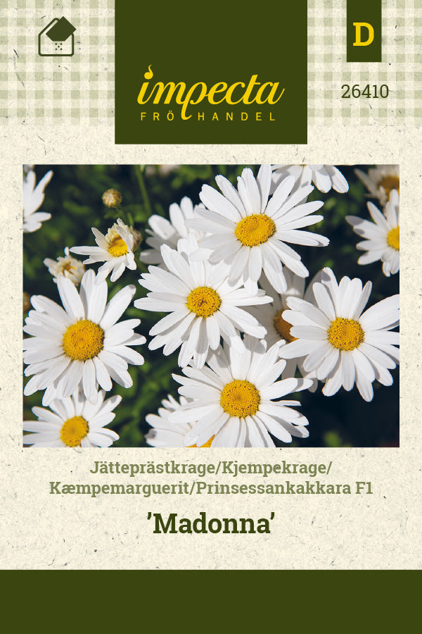 Frø: Kæmpemarguerit F1 'Madonna'