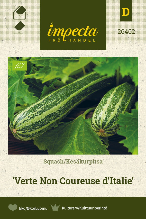 Frø: Squash 'Verte Non Coureuse d'Italie'