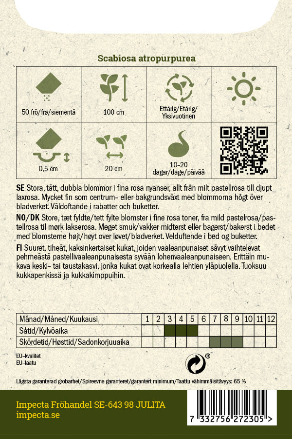 Frø: Enkeblomst 'Salmon Queen'