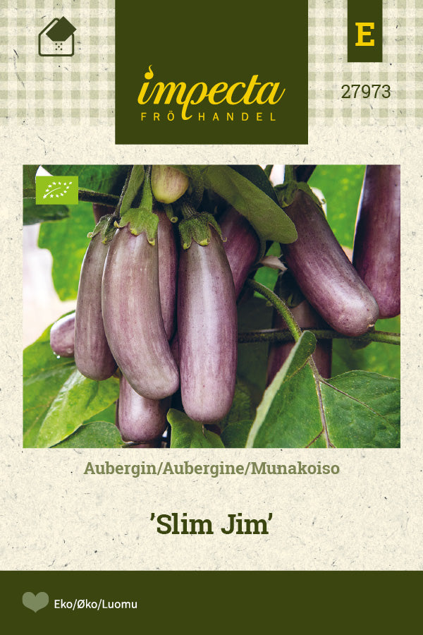 Frø: Aubergine 'Slim Jim'