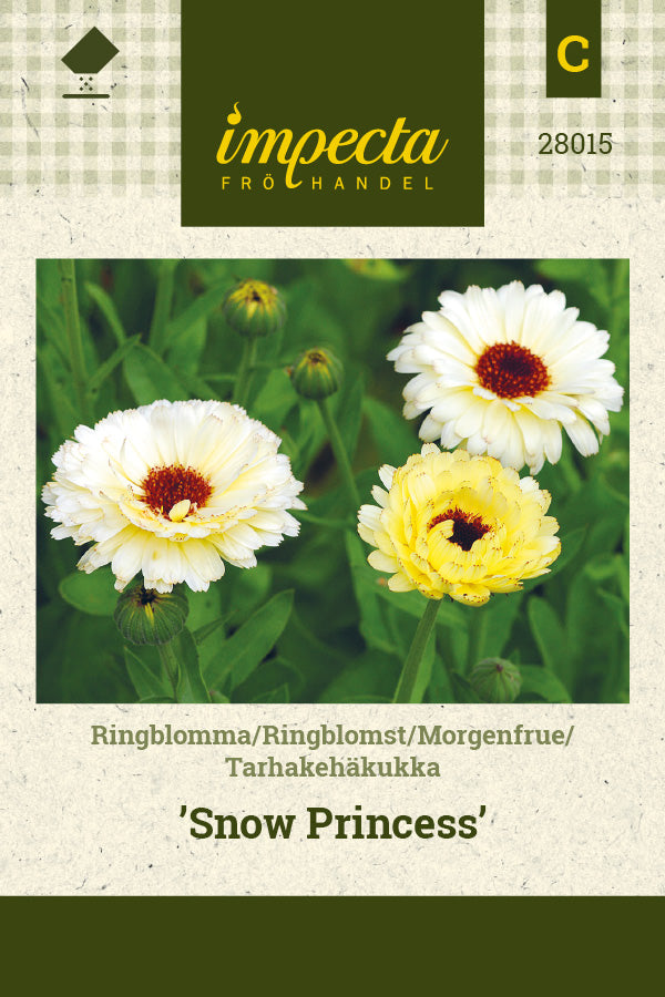 Frø: Morgenfrue 'Snow Princess'
