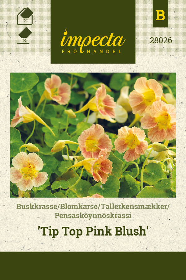 Frø: Tallerkensmækker 'Tip Top Pink Blush'