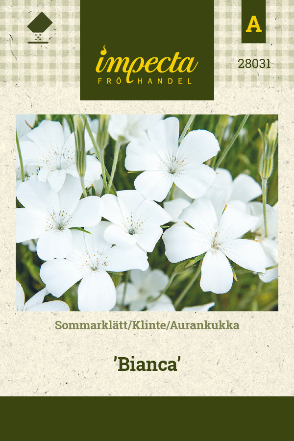 Frø: Klinte 'Bianca'