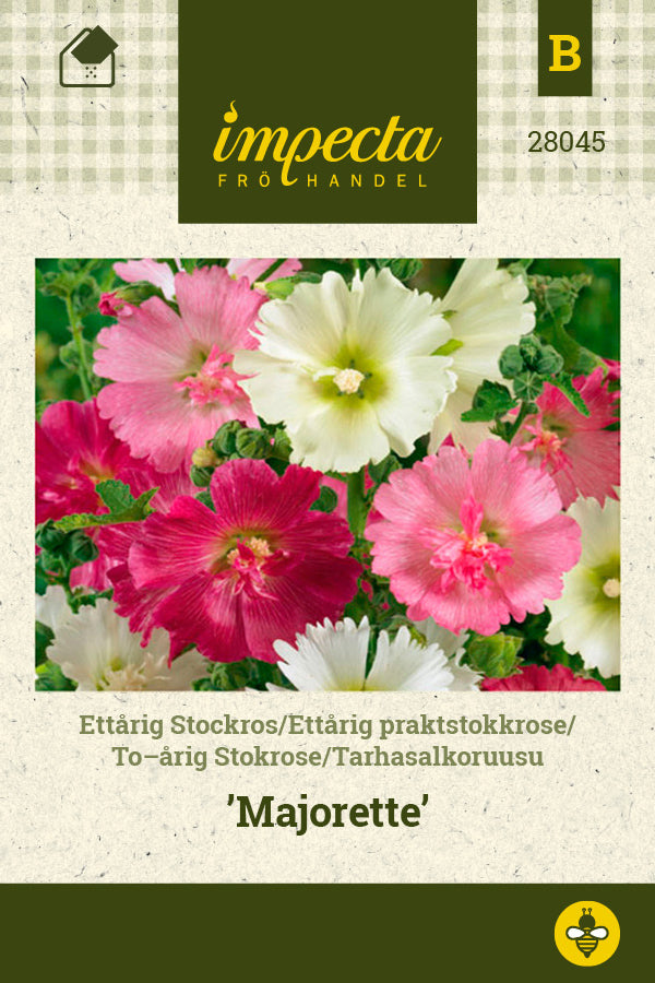 Frø: Havestokrose 'Majorette'