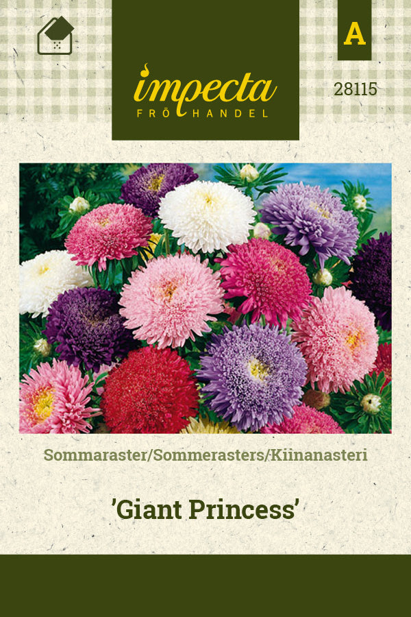 Frø: Sommerasters 'Giant Princess'