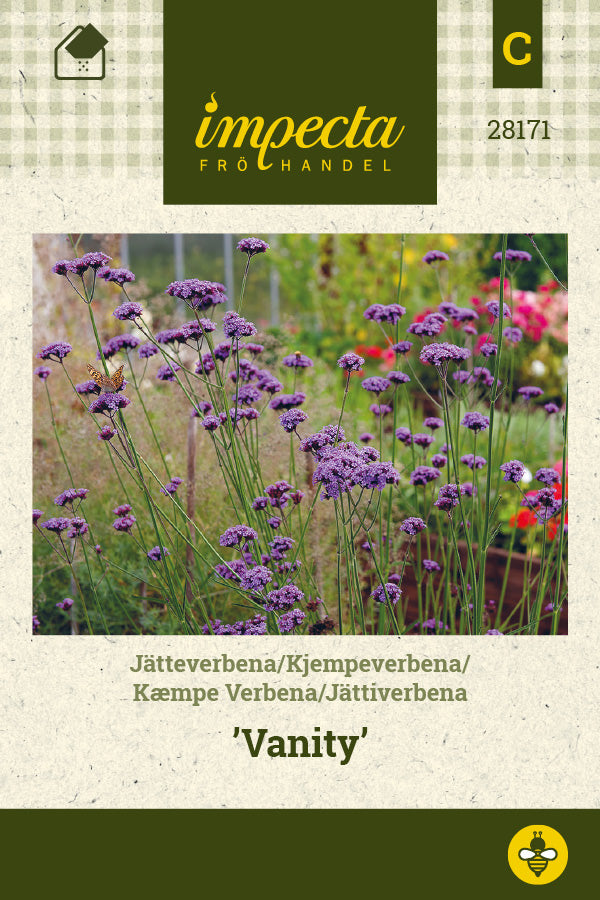 Frø: Kæmpe Verbena 'Vanity'
