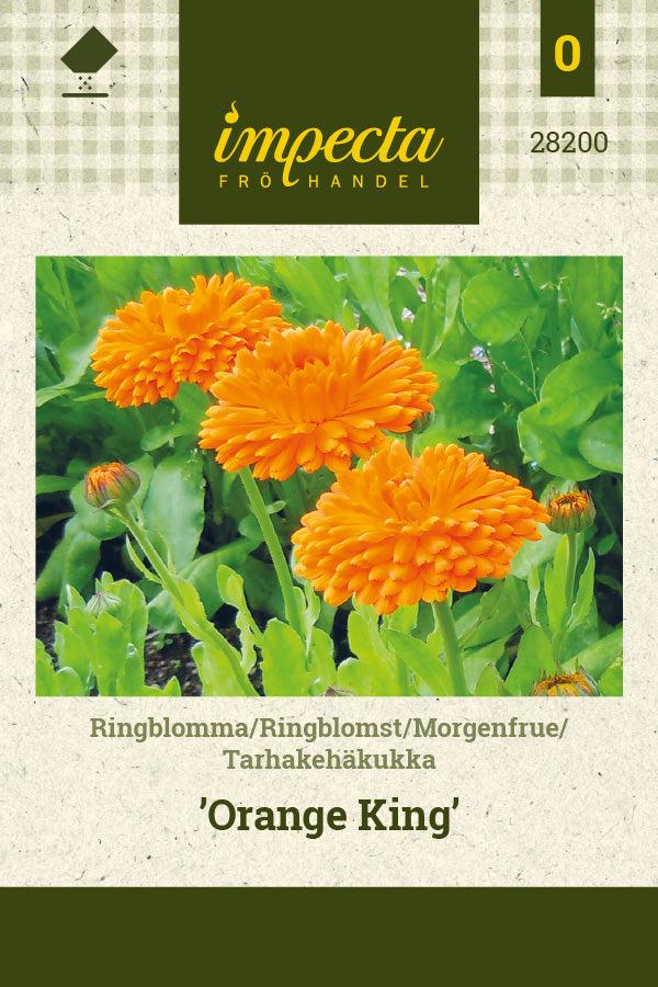 Frø: Morgenfrue 'Orange King'