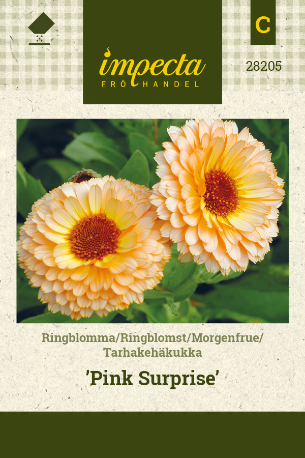 Frø: Morgenfrue 'Pink Surprise'
