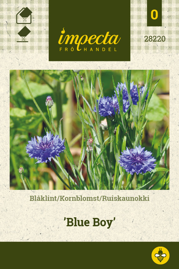 Frø: Kornblomst 'Blue Boy'