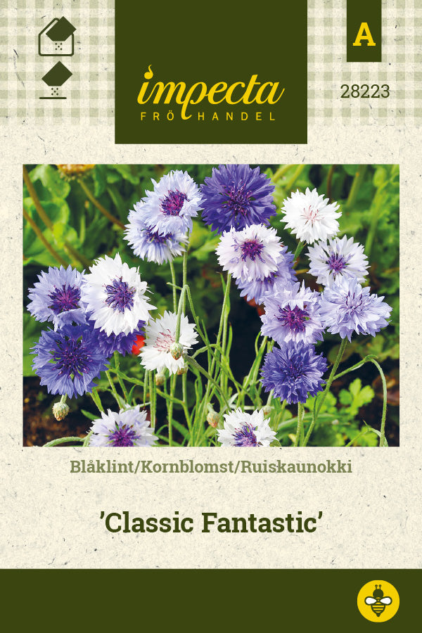 Frø: Kornblomst 'Classic Fantastic'