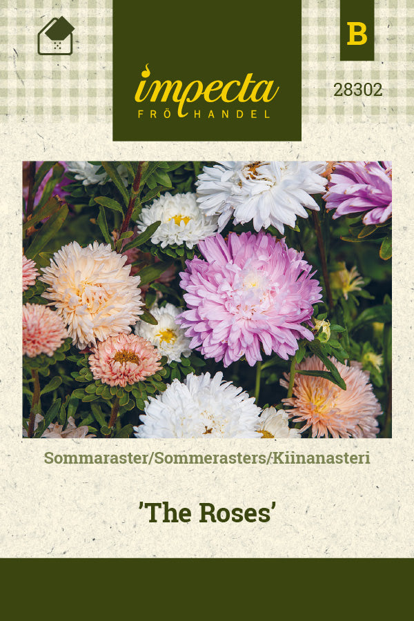 Frø: Sommerasters 'The Roses'