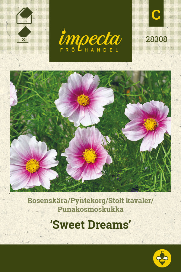 Frø: Stolt kavaler 'Sweet Dreams'