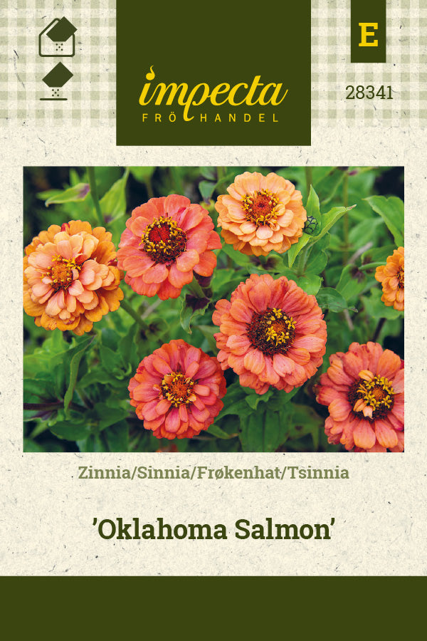 Frø: Frøkenhat 'Oklahoma Salmon'