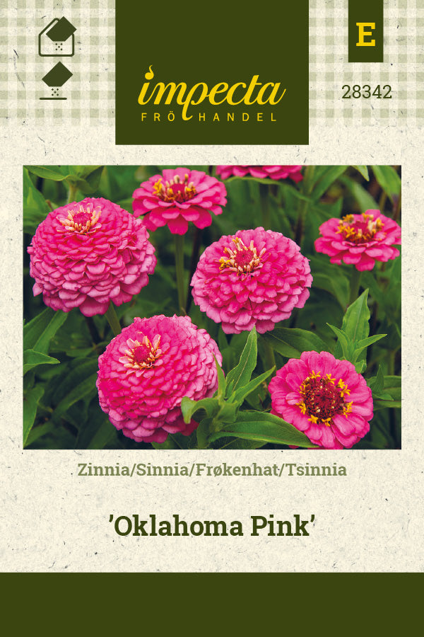 Frø: Frøkenhat 'Oklahoma Pink'