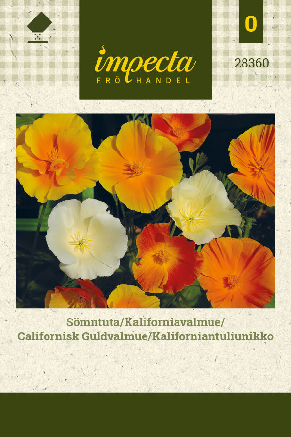 Frø: Californisk Guldvalmue
