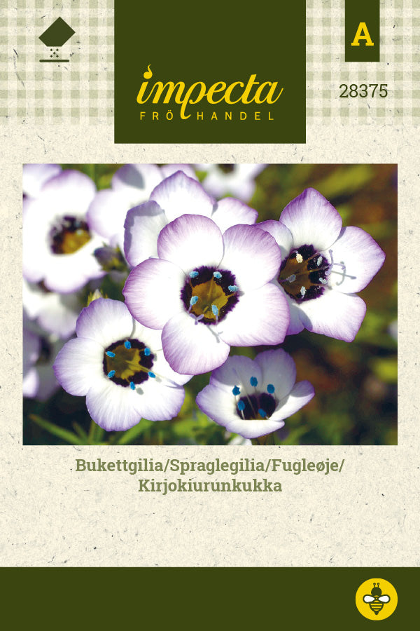 Frø: Fugleøje