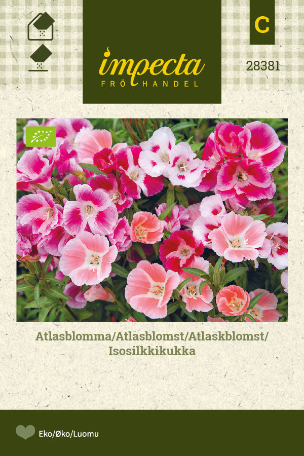 Frø: Atlaskblomst