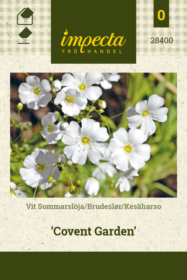 Frø: Brudeslør 'Covent Garden'