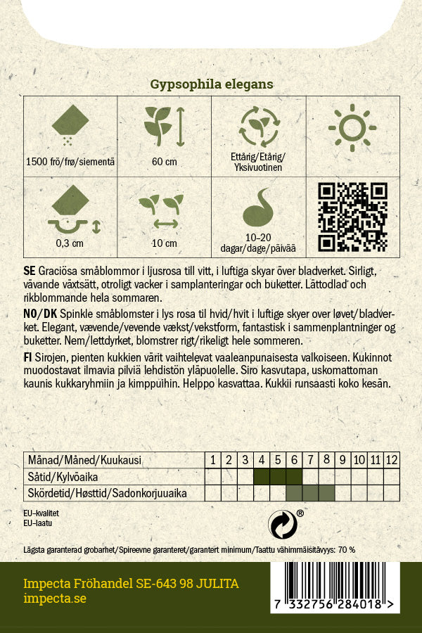 Frø: Brudeslør 'Rosea'