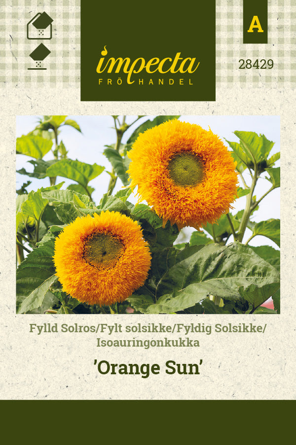 Frø: Solsikke 'Orange Sun'