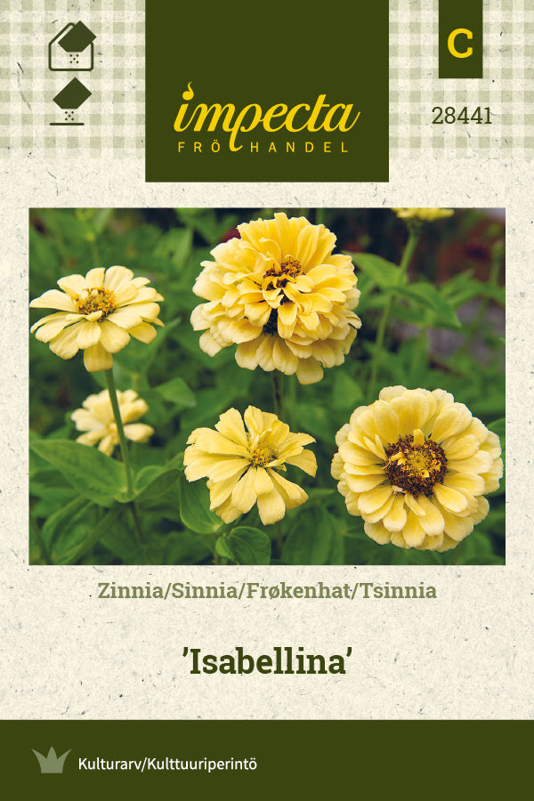 Frø: Frøkenhat 'Isabellina'