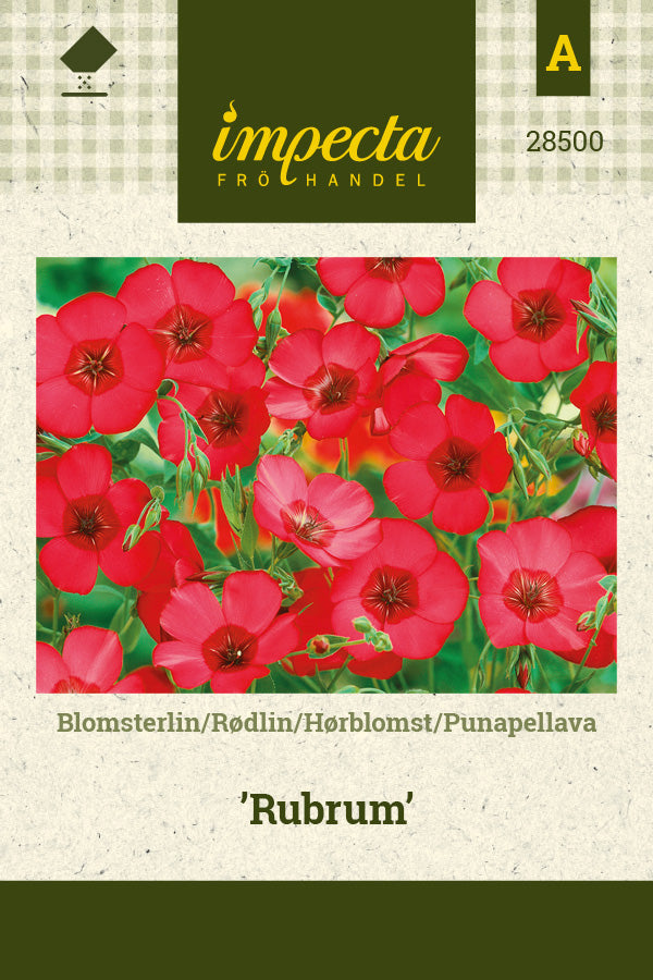 Frø: Hørblomst 'Rubrum'