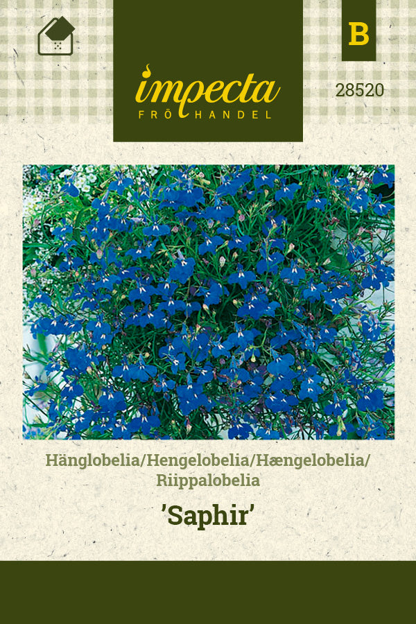 Frø: Hængelobelia 'Saphir'