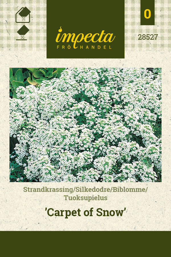 Frø: Biblomme 'Carpet Of Snow'