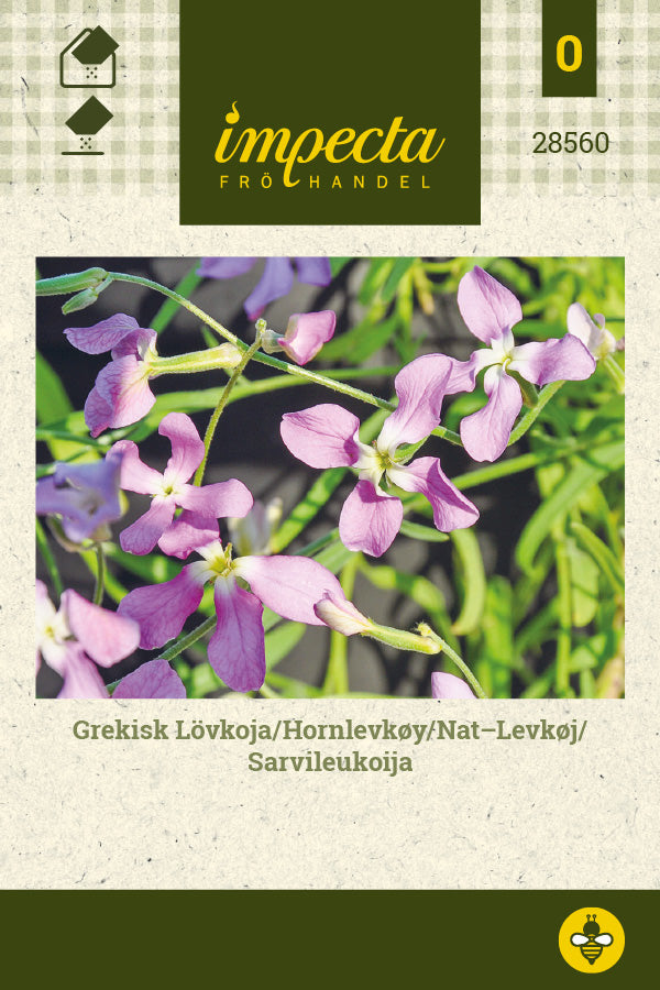 Frø: Nat-Levkøj