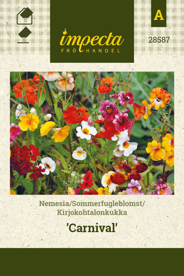 Frø: Sommerfugleblomst 'Carnival'