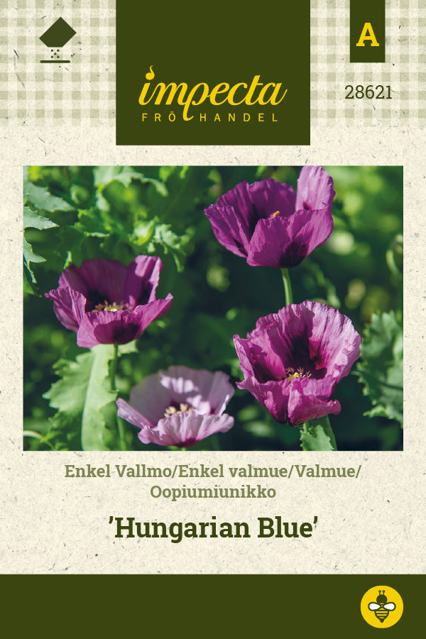 Frø: Enkelt valmue 'Hungarian Blue'